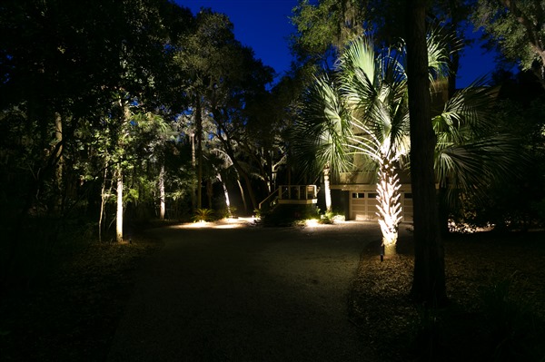 Dirt pathway with palm trees and oak trees lit with landscape lighting